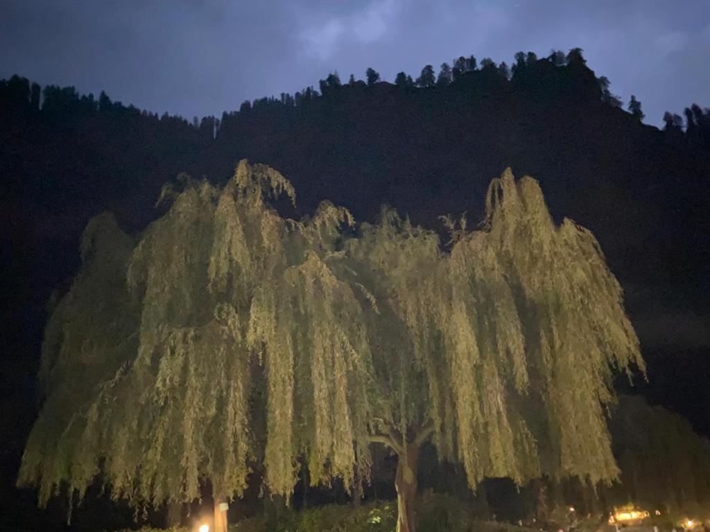 מנאלי Solang Valley Resort מראה חיצוני תמונה